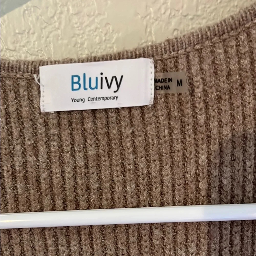 Bluivy Brown Long Sleeve Dress Elegant and Versatile - Picture 4 of 9